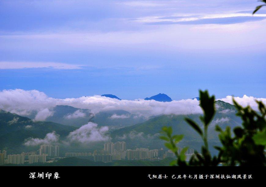 逃离梦想之家