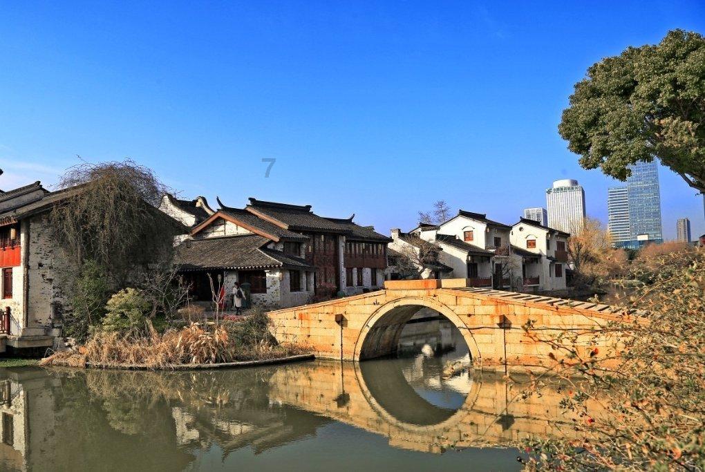除虫大师